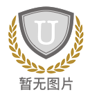 斯克兰顿大学