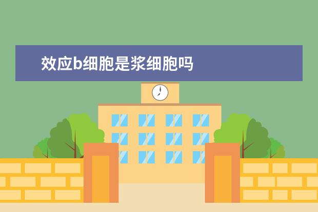 效应b细胞是浆细胞吗