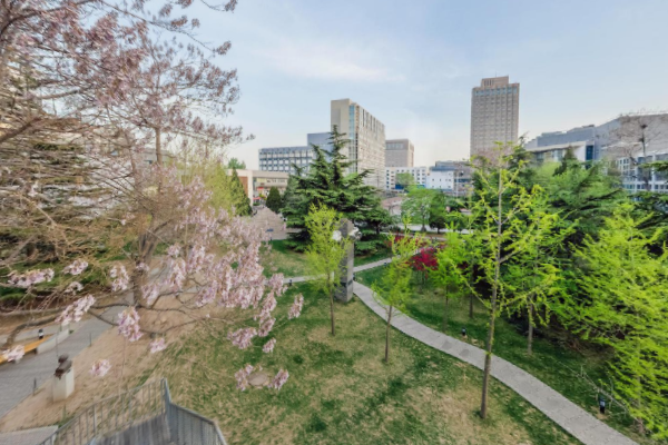 北京电影学院是双一流大学吗,有哪些双一流学科? 北京电影学院是双一流大学吗,有哪些双一流学科?