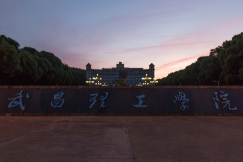 武昌理工学院是双一流大学吗,有哪些双一流学科? 武昌理工学院是双一流大学吗,有哪些双一流学科?