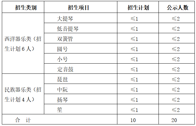 2021年中南大学高水平艺术团招生简章 2021年中南大学高水平艺术团招生简章