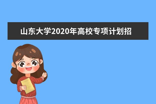 山东大学2020年高校专项计划招生计划多少人？