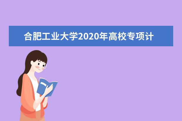 合肥工业大学2020年高校专项计划招生录取规则是什么？