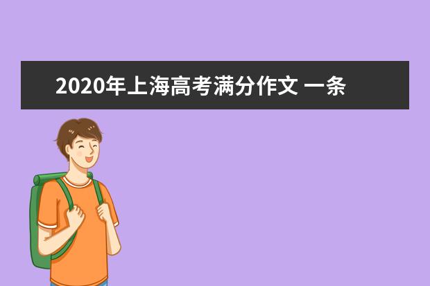 2020年上海高考满分作文 一条路的高考对吗