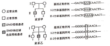 2021年高考生物真题及参考答案（河北卷）