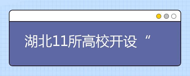 湖北11所高校开设“大数据”专业