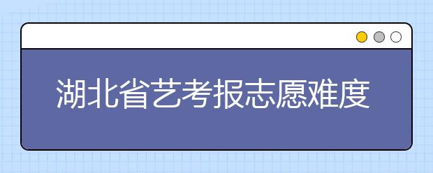 湖北省艺考报志愿难度加大 八成以上院校取消校考