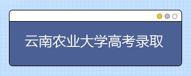 云南农业大学高考录取线大幅度超出控制线