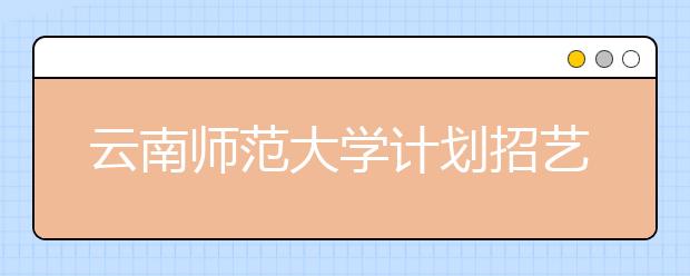 云南师范大学计划招艺术类专业生810人 19日开始报名