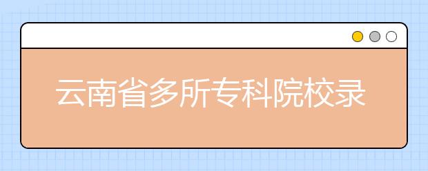 云南省多所专科院校录取线超本科