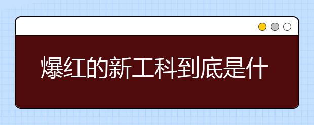 爆红的新工科到底是什么