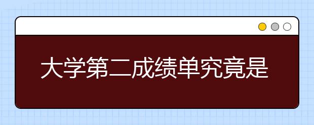 大学第二成绩单究竟是什么?