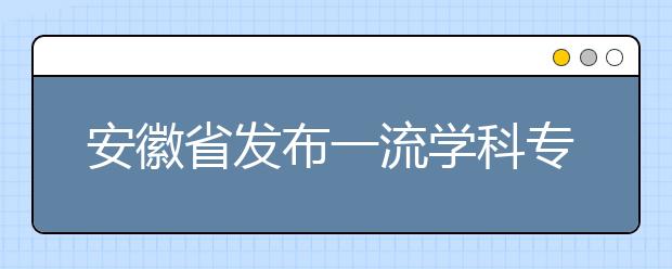 安徽省发布一流学科专业与高水平大学五年行动计划