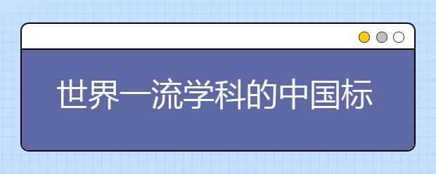 世界一流学科的中国标准是什么