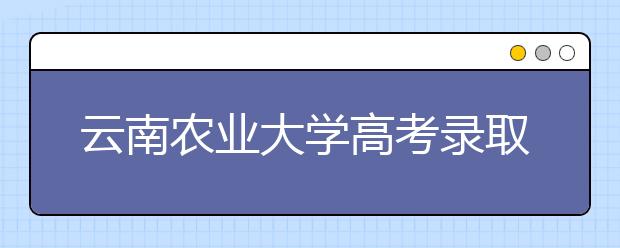 云南农业大学高考录取线大幅度超出控制线