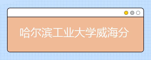 哈尔滨工业大学威海分校2013年高考录取结果查询 