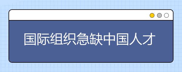 国际组织急缺中国人才,高校如何发力?