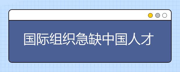 国际组织急缺中国人才，高校如何发力？