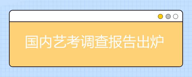 国内艺考调查报告出炉 揭高考分队另类奋斗史