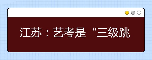 江苏：艺考是“三级跳” 20所艺术院校艺招信息披露