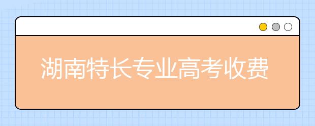 湖南特长专业高考收费标准调整 略有调升