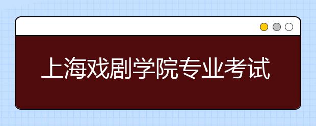 上海戏剧学院专业考试网上报名启动