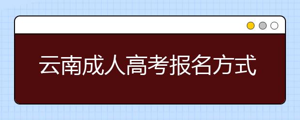 云南成人高考报名方式解读