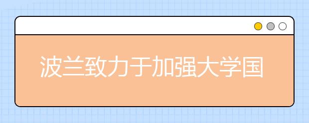 波兰致力于加强大学国际性和学术流动性