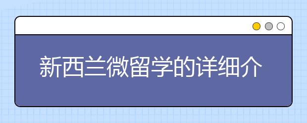 新西兰微留学的详细介绍