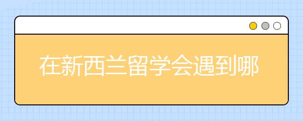 在新西兰留学会遇到哪些趣事儿