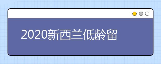 2020新西兰低龄留学申请要求一览表