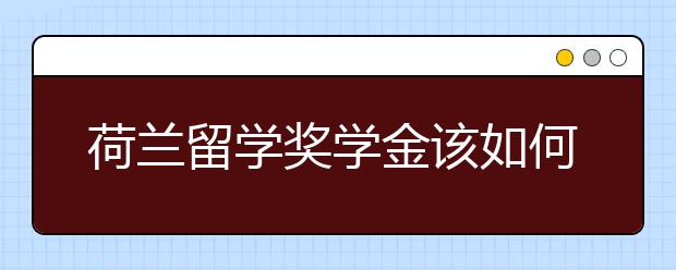 荷兰留学奖学金该如何申请?