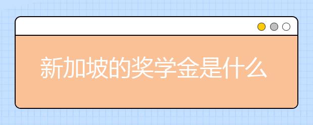 新加坡的奖学金是什么样的?