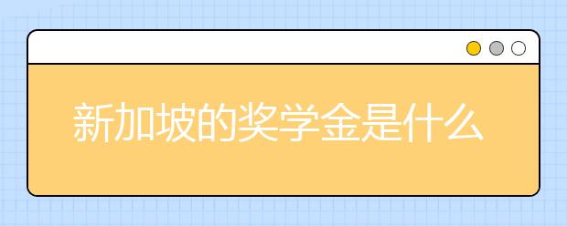 新加坡的奖学金是什么样的?