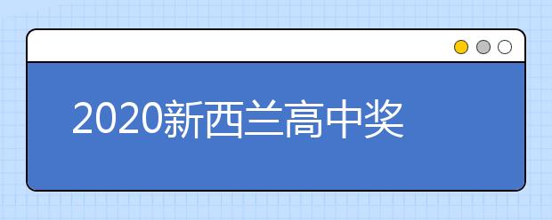 2020新西兰高中奖学金盘点 留学生怎样申请奖学金