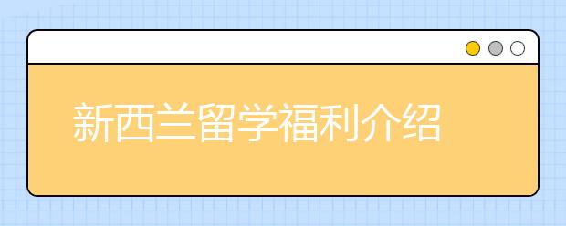 新西兰留学福利介绍 怎样申请留学奖学金