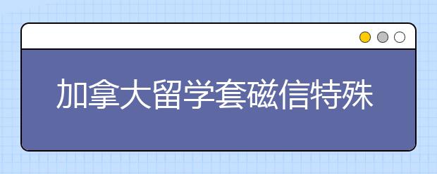 加拿大留学套磁信特殊内容一览表