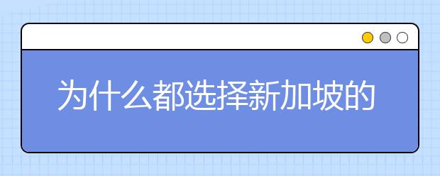 为什么都选择新加坡的留学