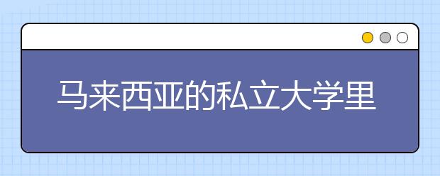 马来西亚的私立大学里有什么专业是比较热门的