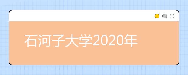 石河子大学2020年承认美术统考成绩