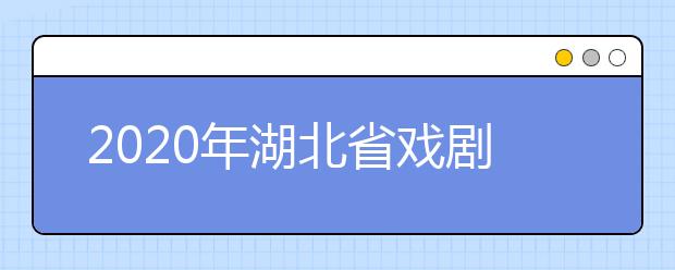 2020年湖北省戏剧与影视学类统考（表演专业）报考须知