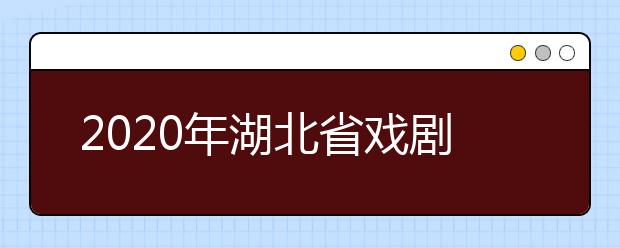 2020年湖北省戏剧与影视学类统考（服装表演专业）报考须知