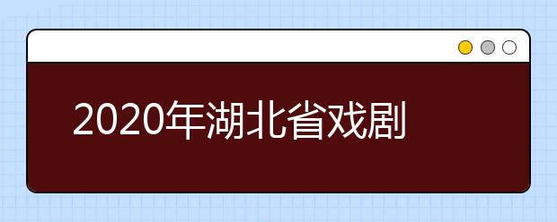 2020年湖北省戏剧与影视学类统考（服装表演专业）报考须知