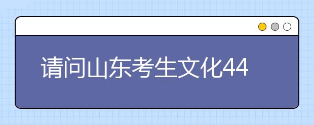 请问山东考生文化448专业240如何填报