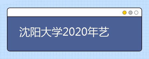 沈阳大学2020年艺术类招生简章