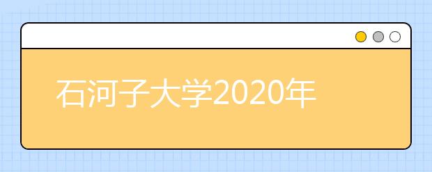 石河子大学2020年艺术类专业继续取消校考工作的说明