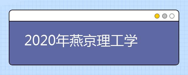 2020年燕京理工学院艺术学院招生简章