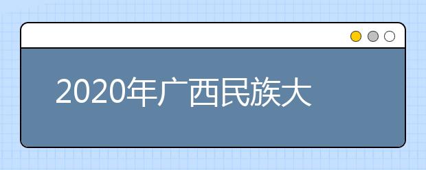 2020年广西民族大学相思湖学院艺术类招生简章