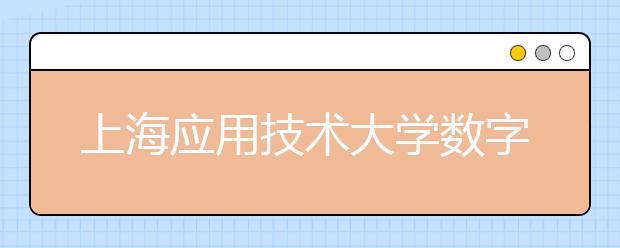 上海应用技术大学数字媒体与艺术设计（2+2/3+1）国际本科招生简章