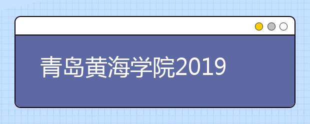 青岛黄海学院2019年艺术类专业招生计划